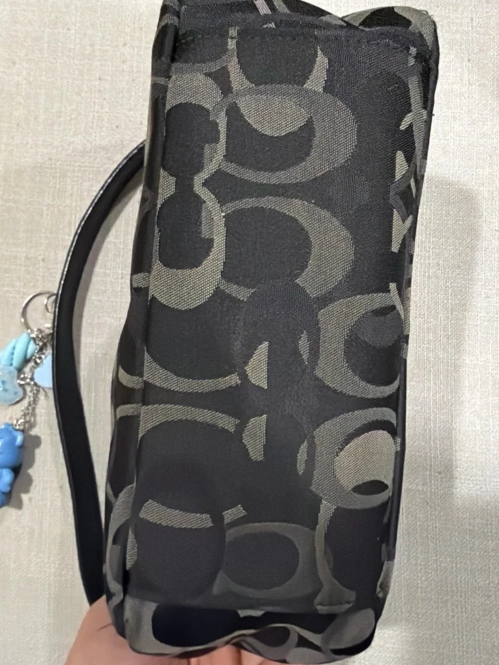 Coach Chelsea Optic Signature Demi Pouch Bag